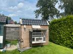 Duivenhok te koop, Dieren en Toebehoren, Vrouwelijk