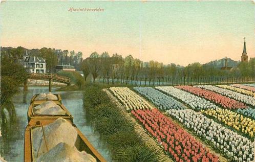 (380-108-029) Hiacinthenvelden, Verzamelen, Ansichtkaarten | Nederland, Verzenden