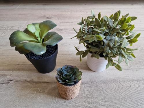 3 kunstplantjes, Huis en Inrichting, Woonaccessoires | Kunstplanten en Kunstbloemen, Gebruikt, Binnen, Ophalen of Verzenden