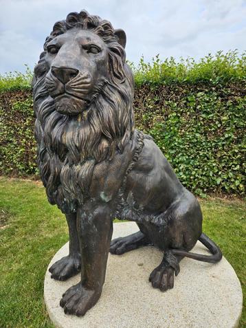 BRONZEN KOPPEL GROTE LEEUWEN AAN BETAALBARE PRIJS, OOK ANDER beschikbaar voor biedingen