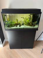 Juwel primo 110 aquarium incl. Vissen, Dieren en Toebehoren, Ophalen, Zo goed als nieuw, Gevuld zoetwateraquarium