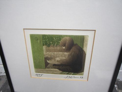 2 Gekleurde etsjes zelfde maker info gevraagd, Antiek en Kunst, Kunst | Etsen en Gravures, Ophalen