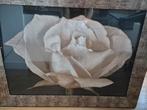 Schilderij Roos, Huis en Inrichting, Woonaccessoires | Schilderijen, Tekeningen en Foto's, Ophalen, Zo goed als nieuw, Schilderij