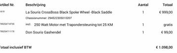 Fatbike v8 2024. beschikbaar voor biedingen