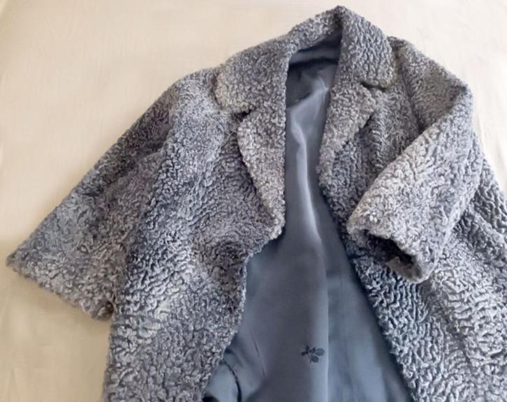 Echte bontjas Perzisch / Echt Pelz Mantel Persianer, Kleding | Dames, Jassen | Winter, Gedragen, Maat 38/40 (M), Grijs, Ophalen