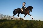 Lieve en ervaren Z1 friese merrie!, Dieren en Toebehoren, Paarden, Merrie