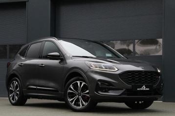 Ford Kuga 2.5 PHEV ST-Line X HeadUp Panodak Blackpack AppleC beschikbaar voor biedingen
