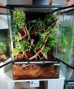 Gezocht terrarium, Dieren en Toebehoren, Ophalen of Verzenden, Zo goed als nieuw, Terrarium of Paludarium