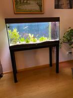 Juwel 160L, Dieren en Toebehoren, Verzenden, Zo goed als nieuw, Gevuld zeewateraquarium