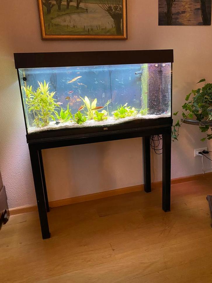 Juwel 160L, Dieren en Toebehoren, Vissen | Aquaria en Toebehoren, Zo goed als nieuw, Gevuld zeewateraquarium, Verzenden