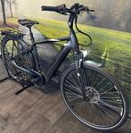 Pegasus Ravenna | Riem-aandrijving | Elektrische Herenfiets, Overige merken, PEGASUS Bikes, Longericher Straße 2, 50739 Köln, Ophalen of Verzenden