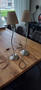 2 leuke lampjes, in meerder richtingen te plaatsen., Ophalen of Verzenden, Gebruikt, Metaal, 50 tot 75 cm