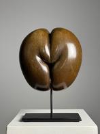 Coco de mer op custom standaard, Ophalen of Verzenden