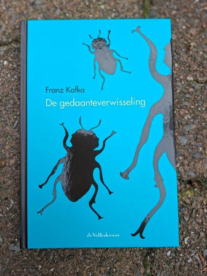 De gedaanteverwisseling, Boeken, Literatuur, Ophalen of Verzenden