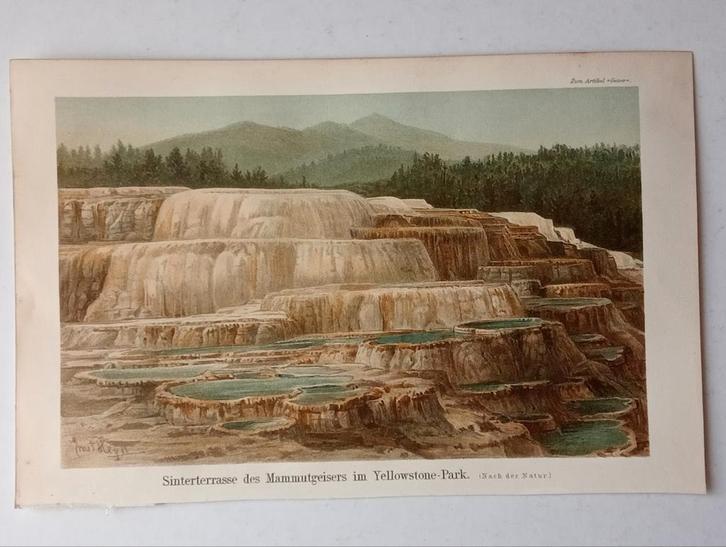 Yellowstone Park Litho - Mammoth Geyser Terraces, Antiek en Kunst, Kunst | Litho's en Zeefdrukken, Ophalen of Verzenden