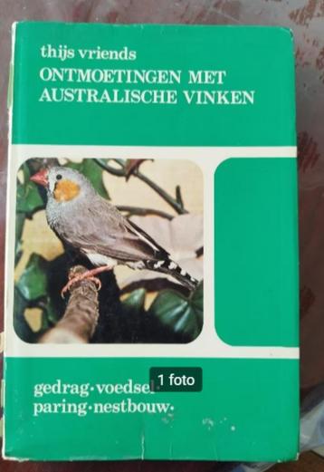 ONTMOETINGEN MET AUSTRALISCHE VINKEN beschikbaar voor biedingen