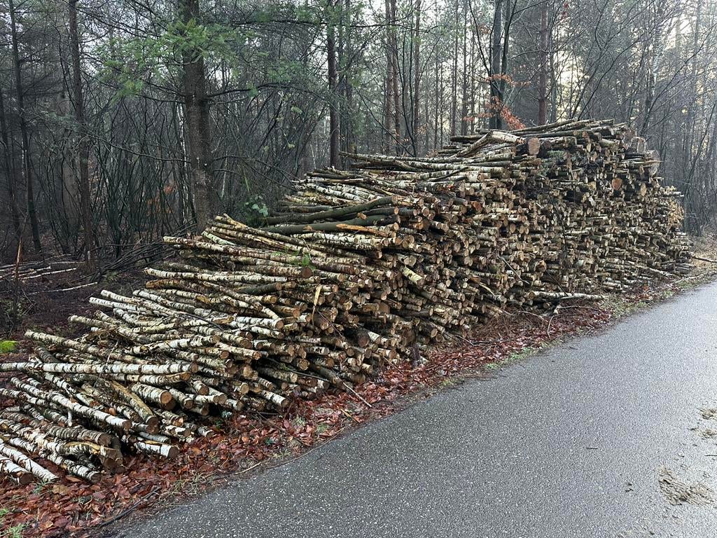 Stookhout stammen Berk, Tuin en Terras, Haardhout, 6 m³ of meer, Ophalen of Verzenden