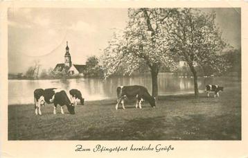 (381-362-003) Zum Pfingstfest herzliche Grusse beschikbaar voor biedingen
