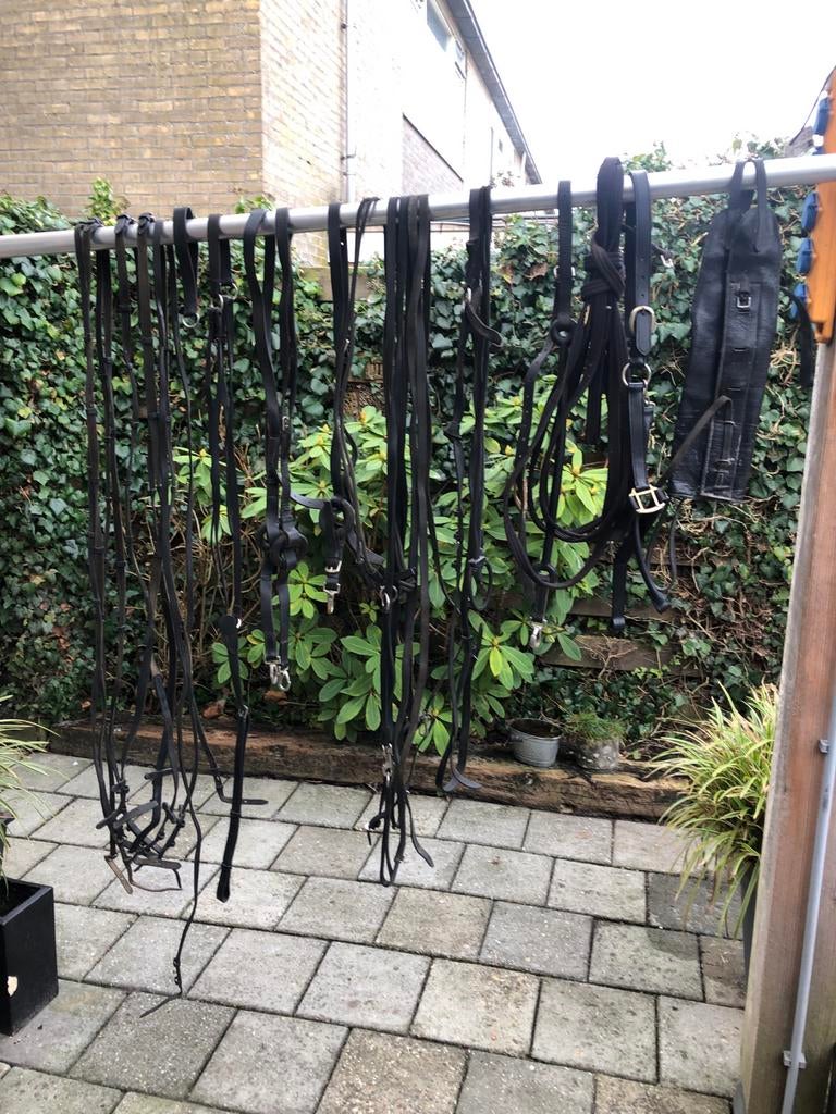 Moet Weg ! teugels,elastiek,slofteugel,bijzetteugel, Dieren en Toebehoren, Ophalen of Verzenden, Gebruikt