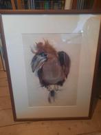 Toekan zeefdruk, Ophalen of Verzenden