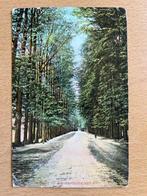 De Steeg - 1910 - Middachter Allee, Verzenden, Voor 1920, Gelopen, Gelderland