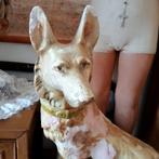 Brocante rin tin tin hond, Antiek en Kunst, Curiosa en Brocante, Ophalen of Verzenden