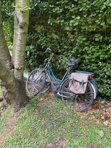 2fietsen opknappers oude weduwe beschikbaar voor biedingen