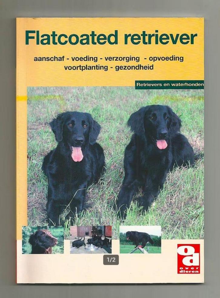De flatcoated retriever - Anneke Tasseron, Boeken, Dieren en Huisdieren, Nieuw, Honden, Ophalen of Verzenden
