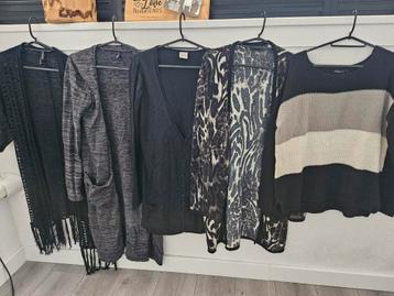 Diverse vesten collectie - Verschillende maten beschikbaar voor biedingen