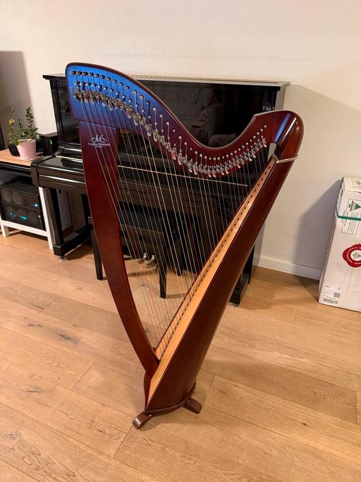 Camac Korrigan Harp - Prachtige Keltiscche harp, Muziek en Instrumenten, Snaarinstrumenten | Harpen, Gebruikt, Ophalen