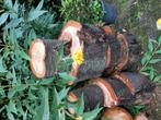 Haardhout 5 grote stukken, Tuin en Terras, Haardhout, Minder dan 3 m³, Ophalen, Overige houtsoorten