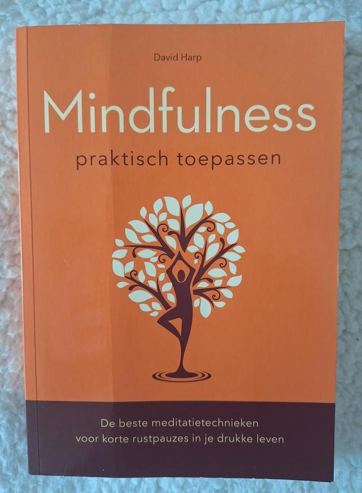 David Harp - Mindfulness praktisch toepassen, Boeken, Advies, Hulp en Training, Zo goed als nieuw, Ophalen of Verzenden