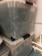 Mooie kunst kerstboom, Diversen, Kerst, Ophalen