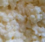 Biologische melkkefirkorrels, Diversen, Levensmiddelen, Ophalen