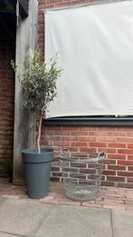 Oude brocante aardappelmand, Ophalen, Minder dan 30 cm, Minder dan 60 cm, Rond