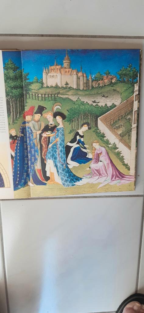 Tres riches heures du Duc de Berry/Middeleeuwen getijdenboek, Boeken, Kunst en Cultuur | Beeldend, Zo goed als nieuw, Schilder- en Tekenkunst