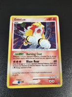 Entei holo, Ophalen of Verzenden, Zo goed als nieuw, Losse kaart