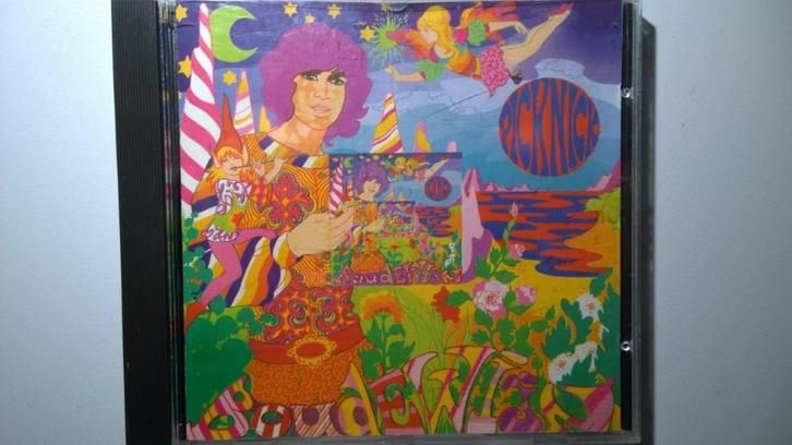 Boudewijn De Groot - Picknick, Cd's en Dvd's, Cd's | Nederlandstalig, Zo goed als nieuw, Pop, Ophalen of Verzenden