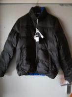 HorseWare donsjack donsjas bomber licht gewicht Nieuw mt L, Maat 52/54 (L), HorseWare, Zwart, Nieuw