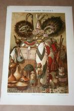 Antieke kleurenlithografie - Cultuur van Afrika - Ca 1900 !!, Ophalen of Verzenden