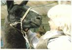 Meisje met ezel., Verzamelen, Ansichtkaarten | Dieren, Wild dier, Gelopen, Verzenden, 1980 tot heden