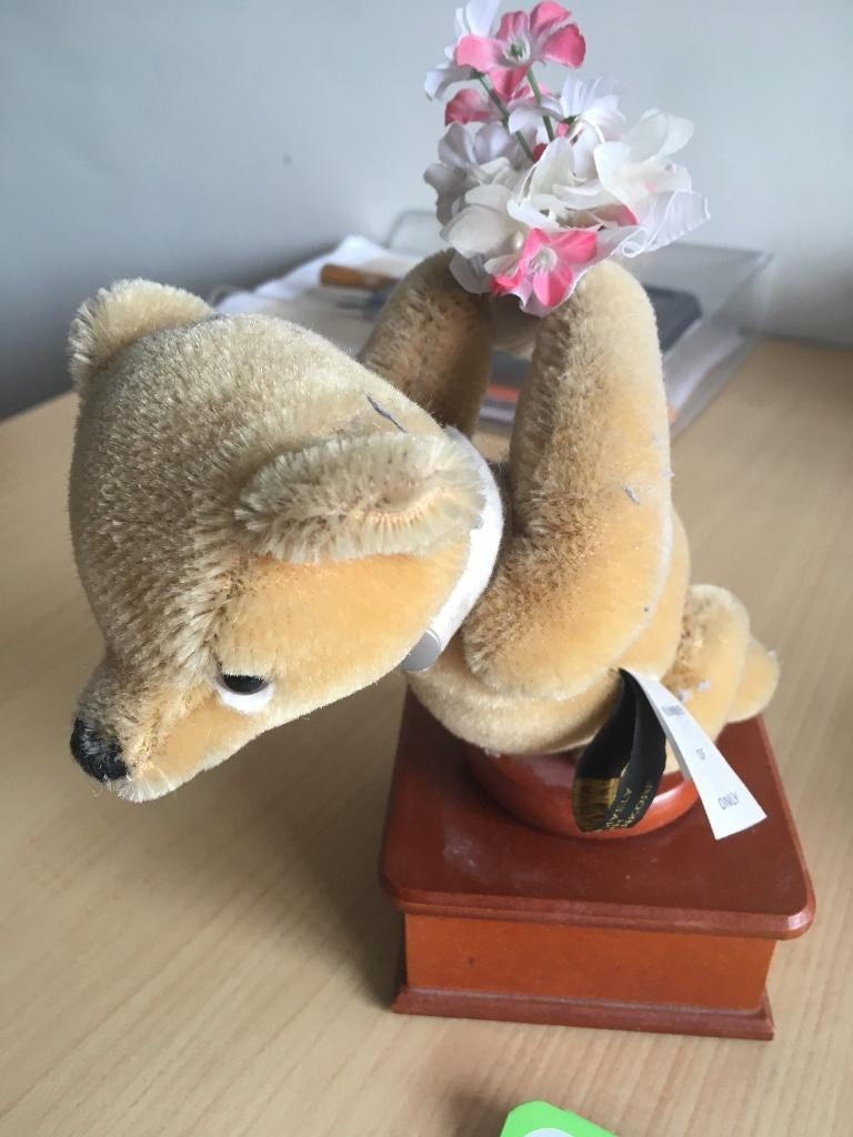 Collectors item: Merry Thougt muziek beer, Ophalen of Verzenden, Gebruikt, Stoffen beer, Overige merken