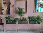 Plantenbak goud met zwart, Ophalen of Verzenden, Nieuw, Hout, Minder dan 60 cm