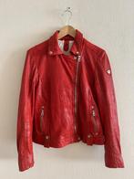 Helder rood leder leren biker jas jack van Gipsy, Kleding | Dames, Ophalen of Verzenden, Zo goed als nieuw, Rood, Gipsy