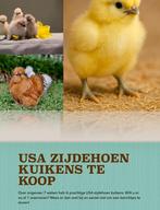 Binnenkort prachtige USA zijdehoen kuikens!, Geslacht onbekend, Tropenvogel
