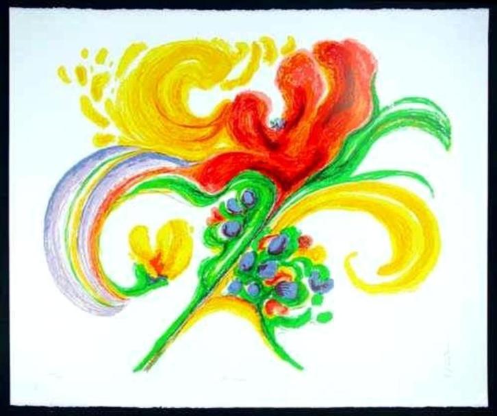 Ronald Christensen - Flowerburst - Litho Handgesign., Antiek en Kunst, Kunst | Litho's en Zeefdrukken, Ophalen of Verzenden