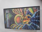 Thunderdome XII Caught in the web of Death VHS., Cd's en Dvd's, VHS | Documentaire, Tv en Muziek, Vanaf 16 jaar, Ophalen of Verzenden