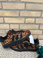 Adidas Campus 00’s Leopard, Bruin, Nieuw, Sneakers of Gympen, Verzenden