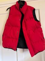 Polo Ralph Lauren bodywarmer rood large, Kleding | Heren, Bodywarmers, Maat 52/54 (L), Verzenden, Rood, Polo Ralph Lauren