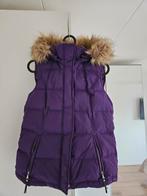 Tommy Hilfiger bodywarmer, Kleding | Dames, Bodywarmers, Ophalen of Verzenden, Zo goed als nieuw